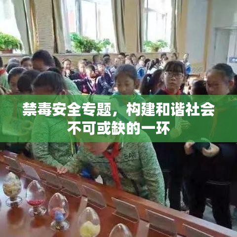 禁毒安全專題，構(gòu)建和諧社會(huì)不可或缺的一環(huán)