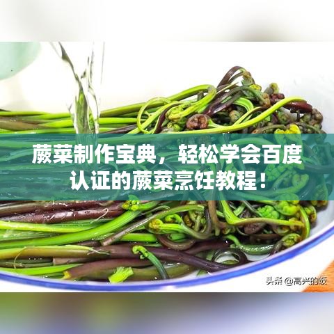 蕨菜制作寶典，輕松學(xué)會百度認(rèn)證的蕨菜烹飪教程！