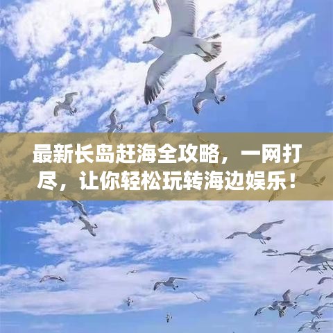 最新長島趕海全攻略，一網(wǎng)打盡，讓你輕松玩轉(zhuǎn)海邊娛樂！