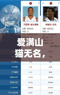 愛滿山貓無名，最新動態(tài)一網(wǎng)打盡