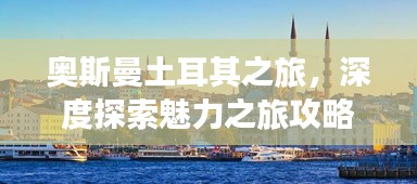 瑞雪飛舞