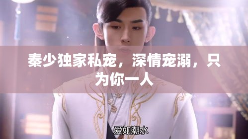 秦少獨家私寵，深情寵溺，只為你一人