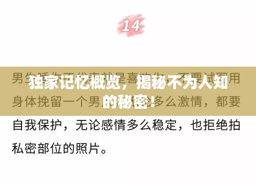 獨(dú)家記憶概覽，揭秘不為人知的秘密！