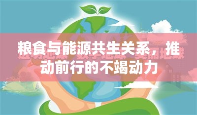 糧食與能源共生關(guān)系，推動前行的不竭動力