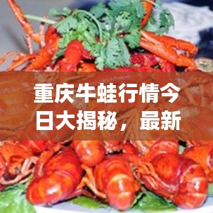 重慶牛蛙行情今日大揭秘，最新動(dòng)態(tài)一網(wǎng)打盡
