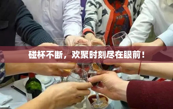 碰杯不斷，歡聚時(shí)刻盡在眼前！