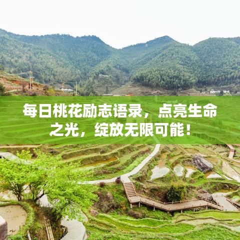 每日桃花勵志語錄，點亮生命之光，綻放無限可能！