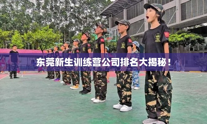 東莞新生訓(xùn)練營公司排名大揭秘！
