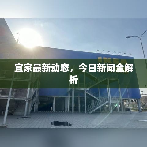 宜家最新動(dòng)態(tài)，今日新聞全解析