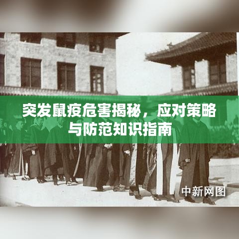 突發(fā)鼠疫危害揭秘，應(yīng)對策略與防范知識指南