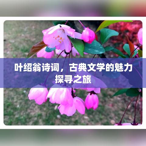 葉紹翁詩(shī)詞，古典文學(xué)的魅力探尋之旅