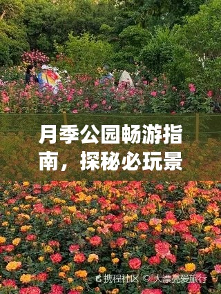 月季公園暢游指南，探秘必玩景點(diǎn)，輕松開啟浪漫之旅！