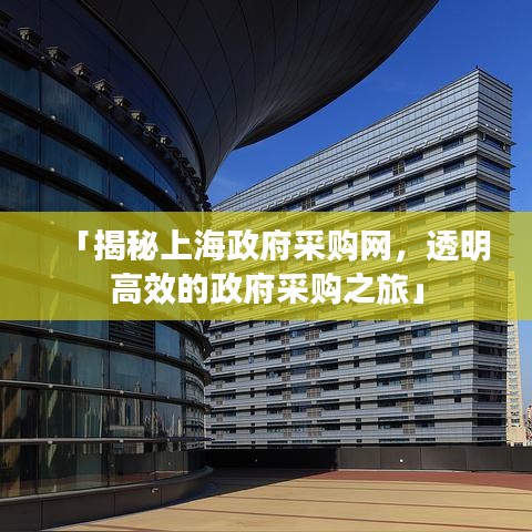 「揭秘上海政府采購網，透明高效的政府采購之旅」