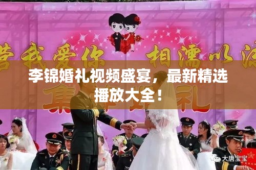 李錦婚禮視頻盛宴，最新精選播放大全！