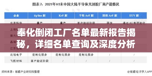 奉化倒閉工廠名單最新報告揭秘，詳細名單查詢及深度分析