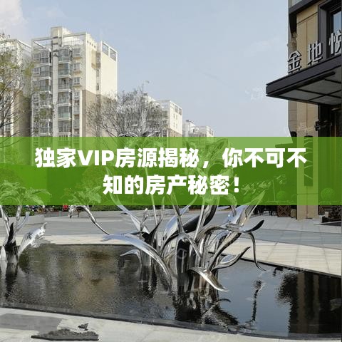 獨(dú)家VIP房源揭秘，你不可不知的房產(chǎn)秘密！