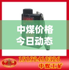 逸興遄飛