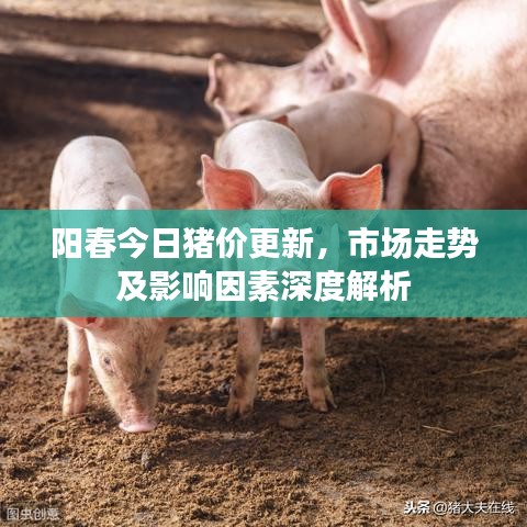 陽(yáng)春今日豬價(jià)更新，市場(chǎng)走勢(shì)及影響因素深度解析