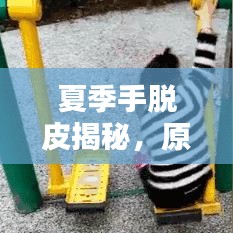 花枝招展