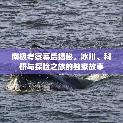 南極考察幕后揭秘，冰川、科研與探險(xiǎn)之旅的獨(dú)家故事