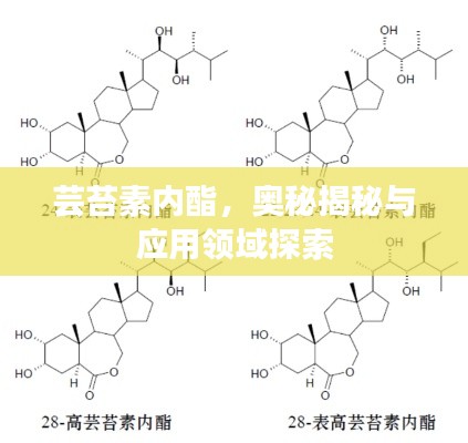蕓苔素內(nèi)酯，奧秘揭秘與應(yīng)用領(lǐng)域探索