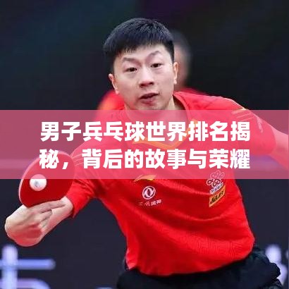 男子兵乓球世界排名揭秘，背后的故事與榮耀之旅