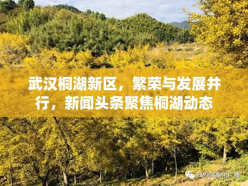 武漢桐湖新區(qū)，繁榮與發(fā)展并行，新聞?lì)^條聚焦桐湖動(dòng)態(tài)