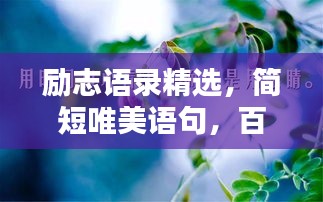 勵(lì)志語(yǔ)錄精選，簡(jiǎn)短唯美語(yǔ)句，百度收錄標(biāo)準(zhǔn)標(biāo)題