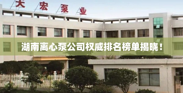 湖南離心泵公司權(quán)威排名榜單揭曉！