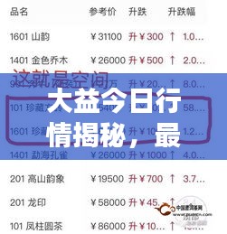 大益今日行情揭秘，最新消息搶先看