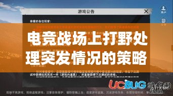 電競(jìng)戰(zhàn)場(chǎng)上打野處理突發(fā)情況的策略，關(guān)鍵角色與應(yīng)對(duì)策略揭秘