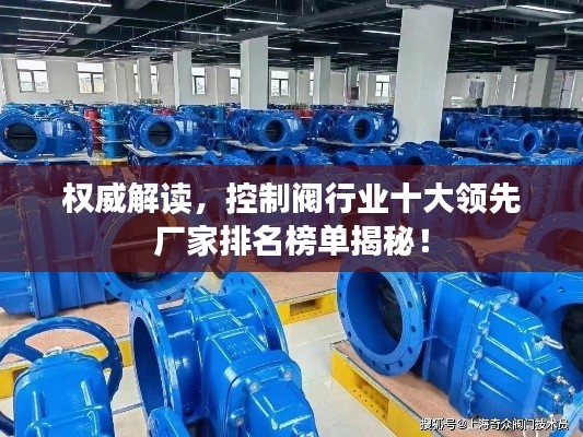 權威解讀，控制閥行業(yè)十大領先廠家排名榜單揭秘！