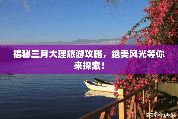 獨學(xué)寡聞