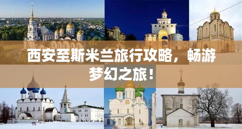 半截鳥木