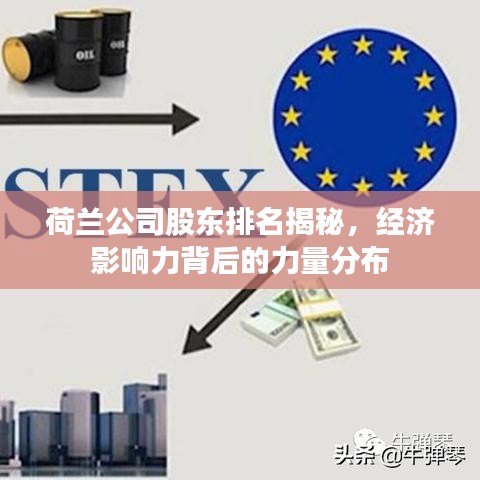荷蘭公司股東排名揭秘，經(jīng)濟影響力背后的力量分布