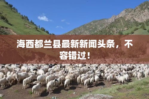 海西都蘭縣最新新聞?lì)^條，不容錯(cuò)過(guò)！