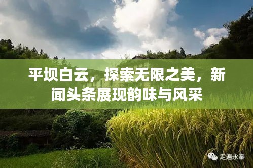 平壩白云，探索無(wú)限之美，新聞?lì)^條展現(xiàn)韻味與風(fēng)采