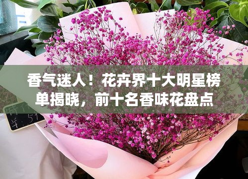 香氣迷人！花卉界十大明星榜單揭曉，前十名香味花盤點