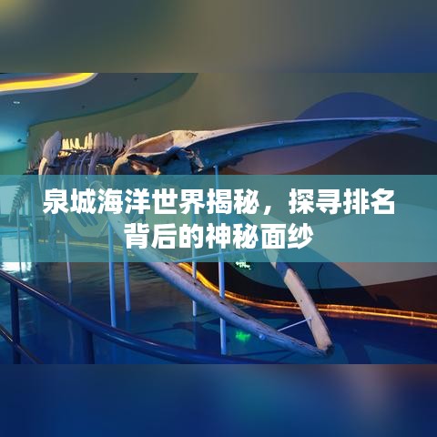 泉城海洋世界揭秘，探尋排名背后的神秘面紗