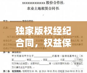 獨(dú)家版權(quán)經(jīng)紀(jì)合同，權(quán)益保障與責(zé)任明確全攻略