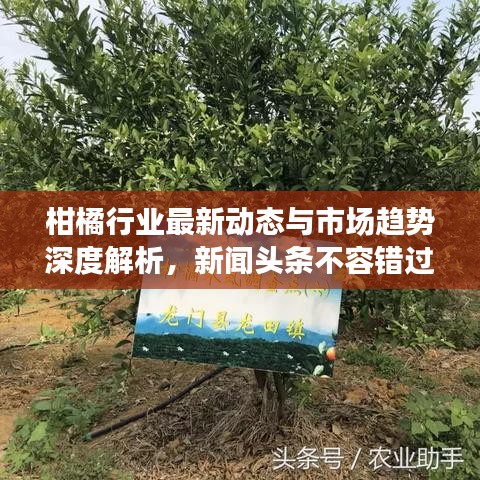 冰清玉潔