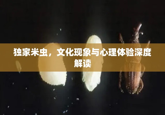 獨(dú)家米蟲(chóng)，文化現(xiàn)象與心理體驗(yàn)深度解讀