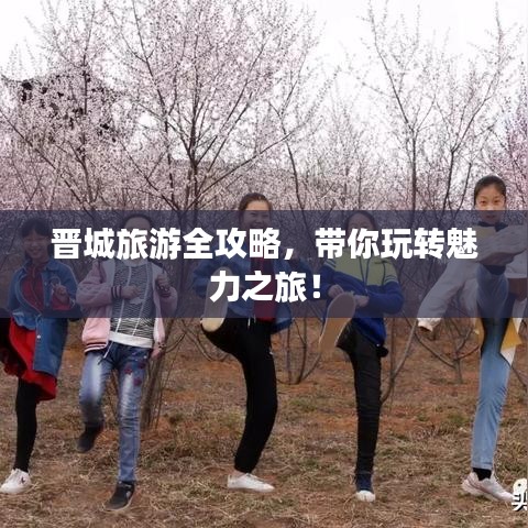 名士風(fēng)流