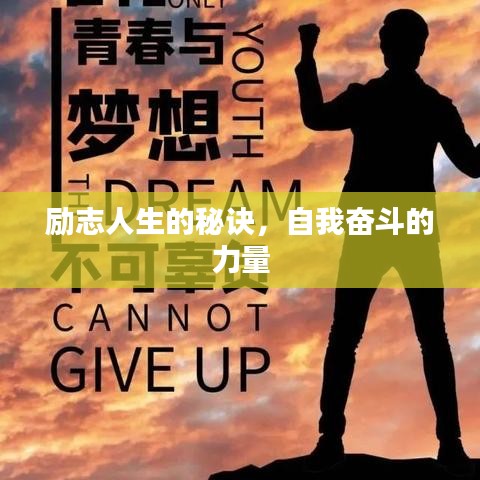 走馬觀花