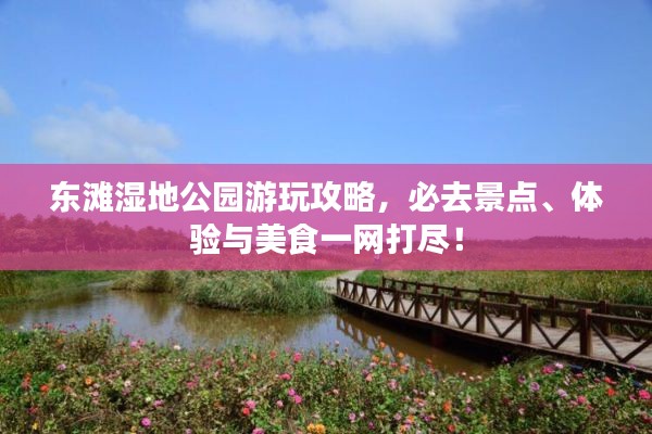 東灘濕地公園游玩攻略，必去景點、體驗與美食一網(wǎng)打盡！