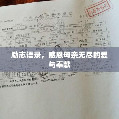 不飛則已