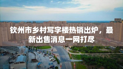 欽州市鄉(xiāng)村寫字樓熱銷出爐，最新出售消息一網(wǎng)打盡