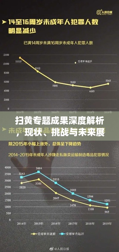 掃黃專題成果深度解析，現(xiàn)狀、挑戰(zhàn)與未來展望