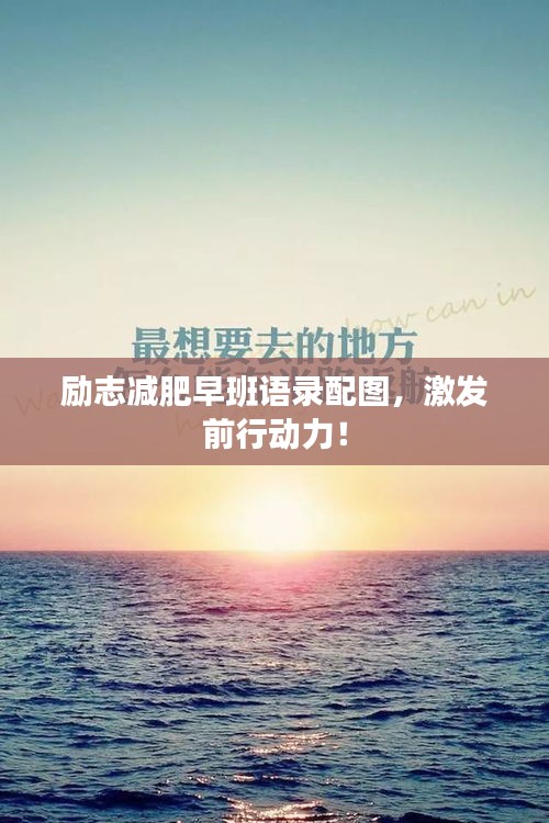 龍飛九五