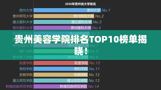 貴州美容學院排名TOP10榜單揭曉！